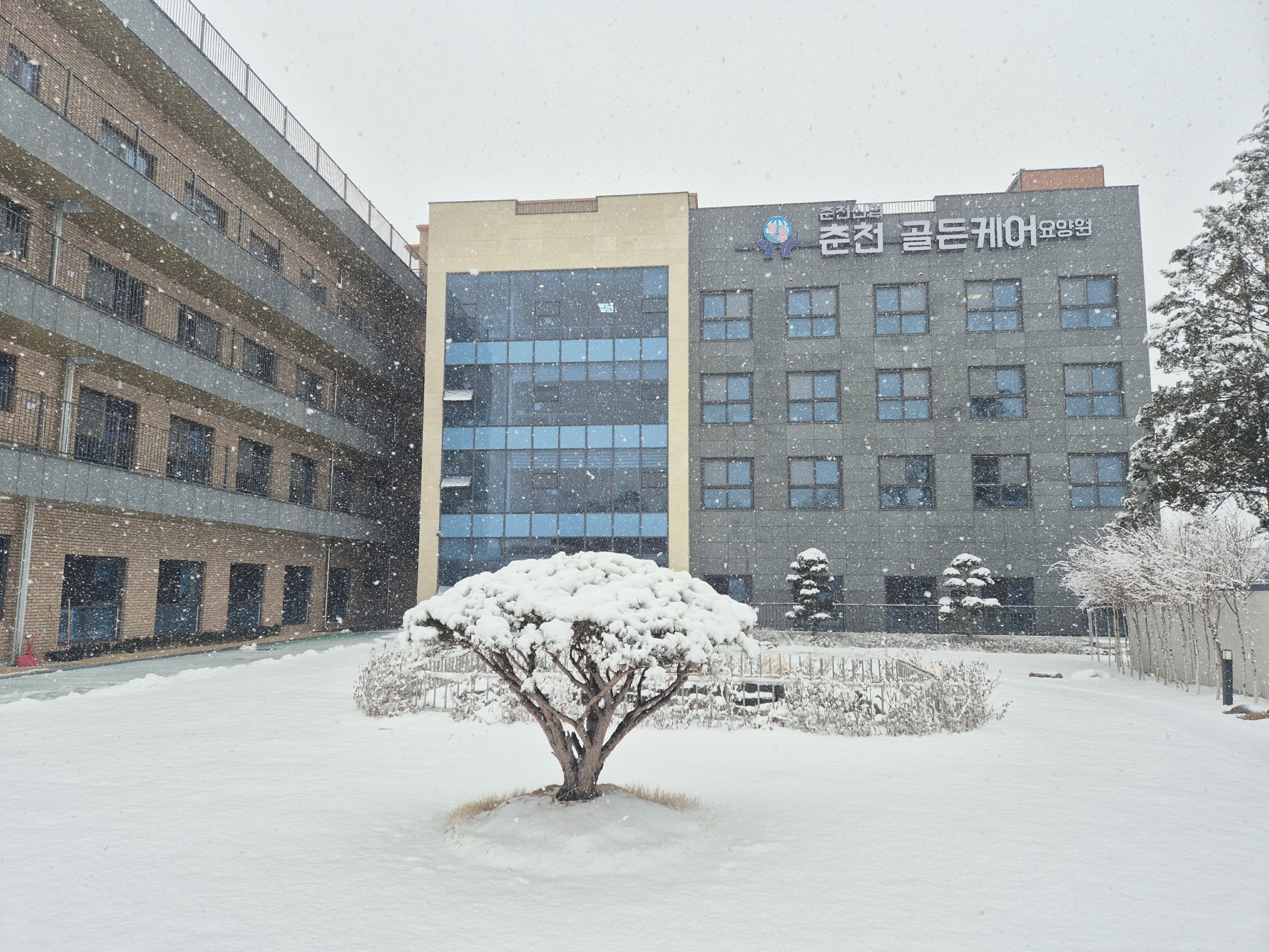 눈 내리는 춘천 골든케어요양원